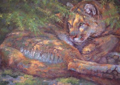 soft pastel painting of a cougar by Sharon Bamber