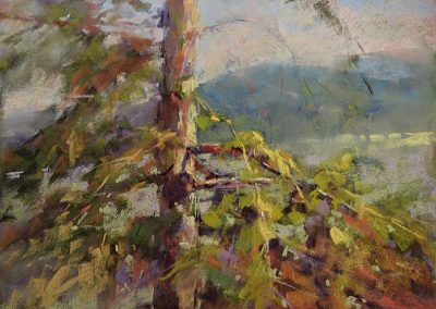 plein air soft pastel painting of a pine tree by Sharon Bamber