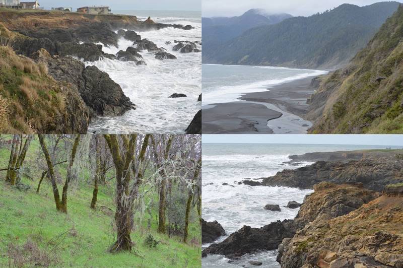 photos of Shelter Cove, CA by Sharon Bamber
