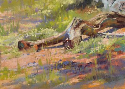 plein air soft pastel painting of driftwood by Sharon Bamber