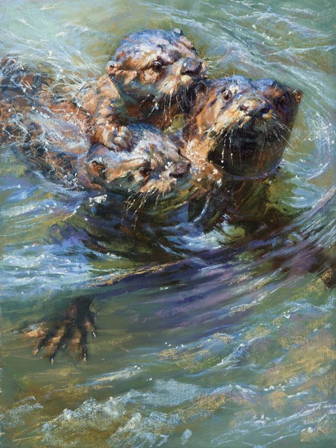 soft pastel painting of an otter with pups by Sharon Bamber
