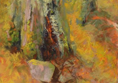 plein air soft pastel painting of tree stumps in sunlight by Sharon Bamber