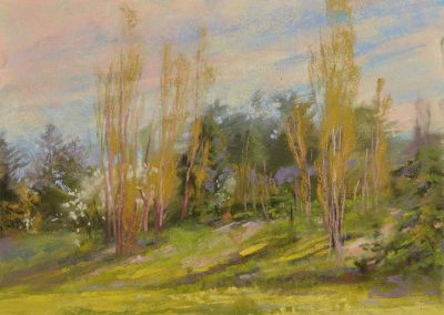 plein air soft pastel painting of poplar trees by Sharon Bamber