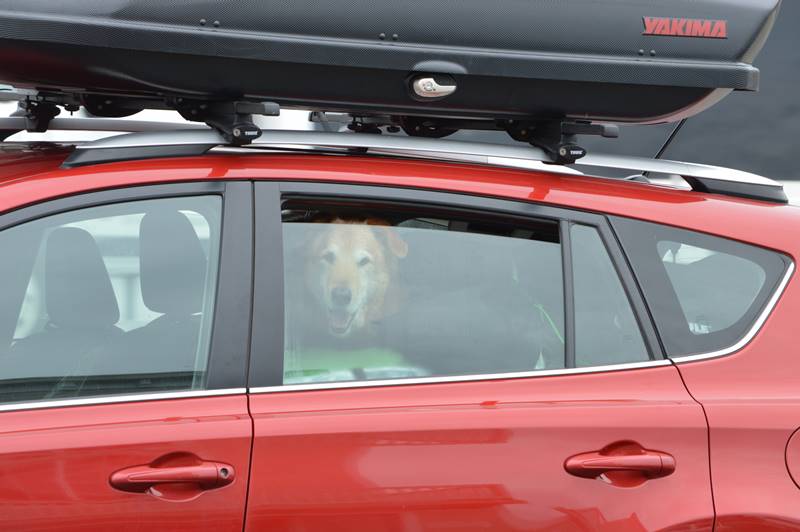 Photo of a jam-packed Toyota Rav4