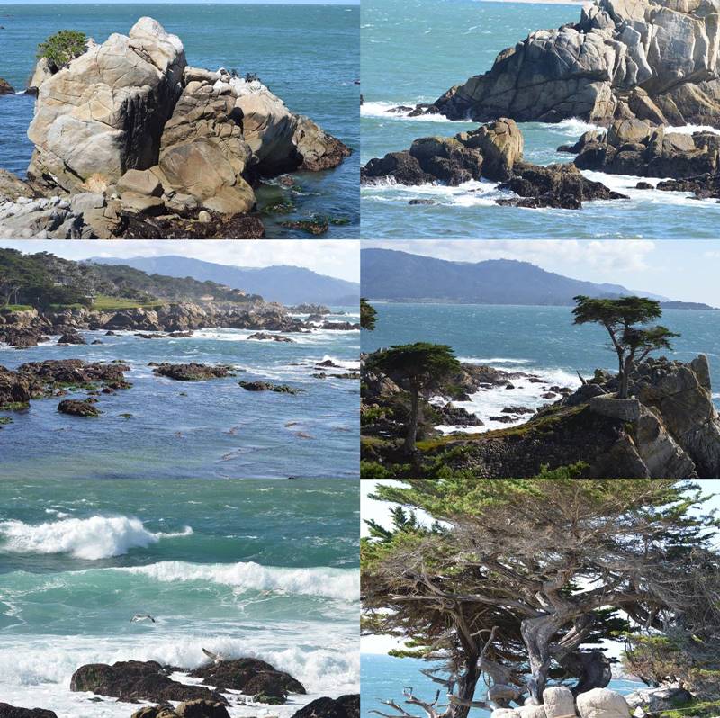 Photos of 17 Mile Drive, CA by Sharon Bamber