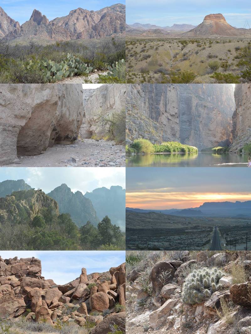 Photos of Big Bend National Park by Sharon Bamber