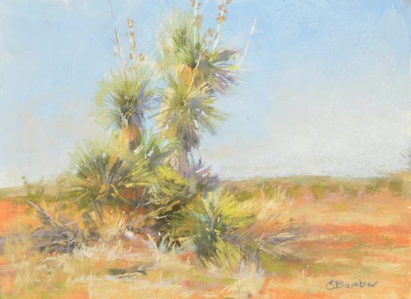 Old Maverick plein air pastel painting of yuccas
