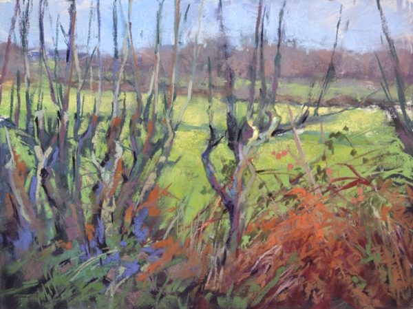 Hedge Patterns by Sharon Bamber plein air pastel painting of hedgerow in France