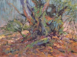 The Ancient Pollard by Sharon Bamber plein air soft pastel painting of an old tree