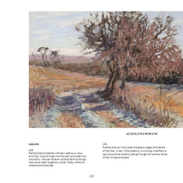 book by sharon bamber 1000 miles walking and painting the way of saint james pg 169