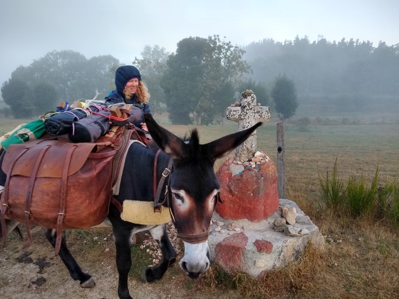 Sharon Bamber and donkey Dupon walking the Camino 1000 Miles walking & painting the Way of St James