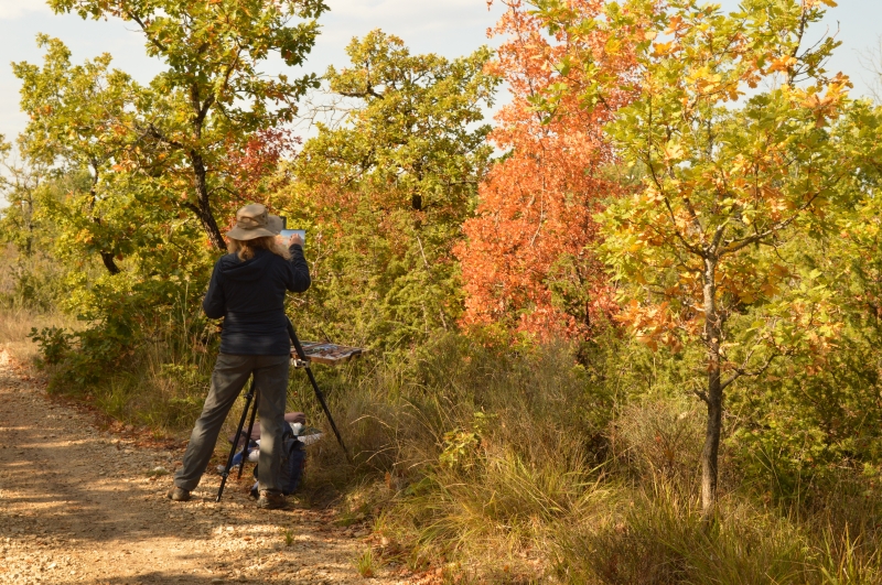Sharon Bamber pastel painting en plein air 1000 Miles Walking & Painting the Way of Saint James